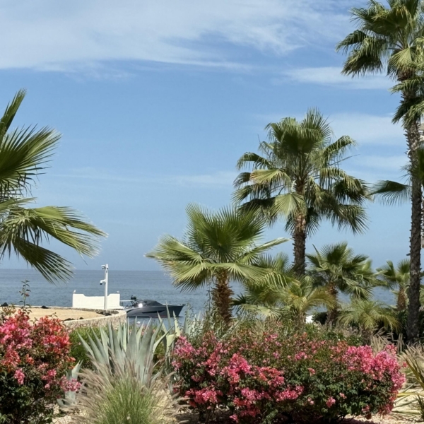 Fresco 1 Km 15 Carr. Transp. Cabo-SJ, Cabo Corridor, BS | Chileno Bay For Sale